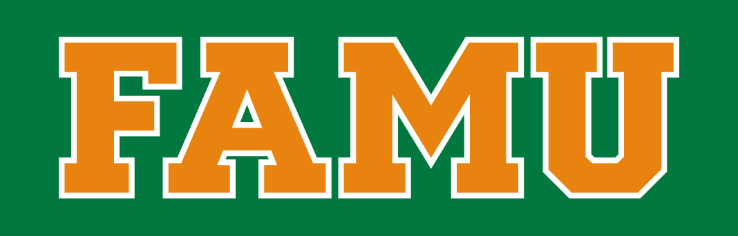 Florida A&M Rattlers 2013-pres wordmark logo diy DTF decal sticker